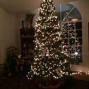 Cindy Brunner's photo