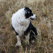 Kate Blackwood's photo