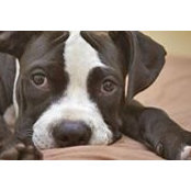 Barbara Hill's photo