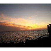 Noura Mazin's photo