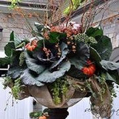 Barbara Durkee's photo
