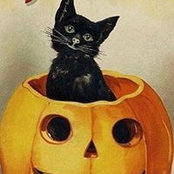 Kimberly Graigs's photo