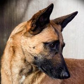 Danielle LaGrave's photo