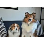 Gail Inderwiess foto
