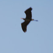 Edwin Goyzueta's photo