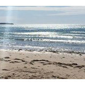 Trudie Molloy's photo