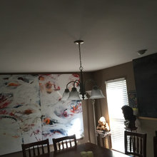 Dining Room lights