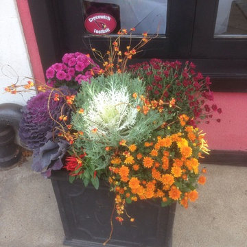 Potted Gardens, Windows,