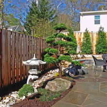 Landscape Ideas