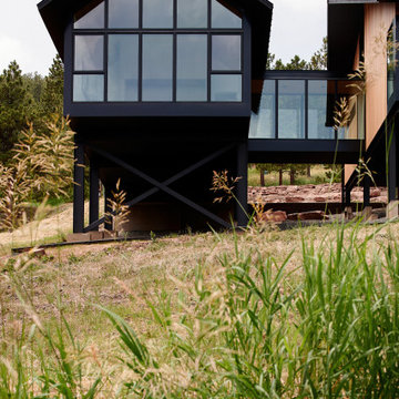 Pine Tree House