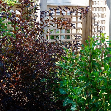Front entryway & Backyard Installation