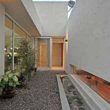 internal garden