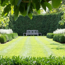 Hedges