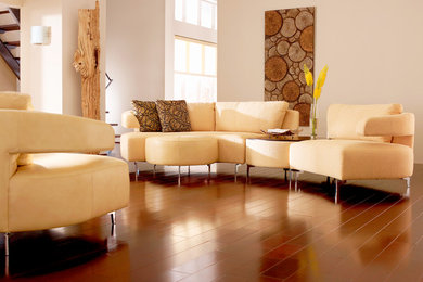 Example of a mountain style living room design in Phoenix