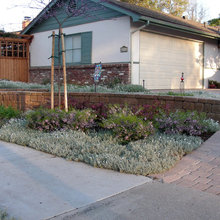 Front Lawn