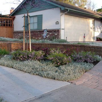 Goleta Front Yard Makeover