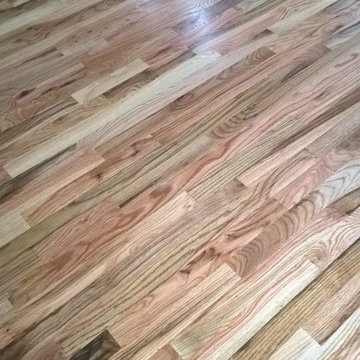 Nobilis Construction