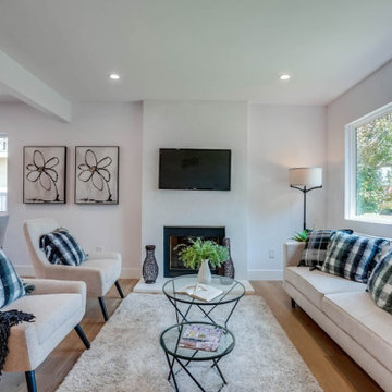 Living Room Remodel