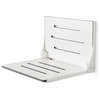 Seachrome Silhouette Folding Wall Mount Shower Bench Seat, White Seat With White Frame