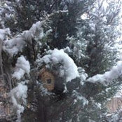 John Sharon Birdwell's photo