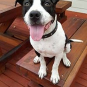 Ben O'Connor's photo