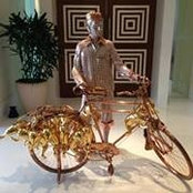 Tiger Naik's photo