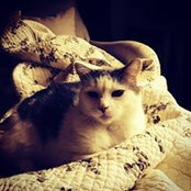 Tara Lochen's photo