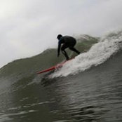 Gavin Shopland's photo