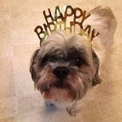 Suzanne Woolwine's photo