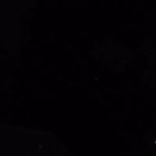 Daniel Forrester's photo