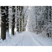 Akram Saeed's photo