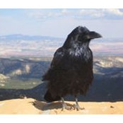 Susannah Simone Frishman-Phillips's photo