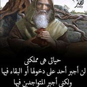 Maged Magdy's photo
