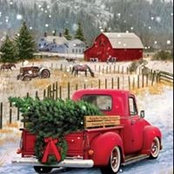 Lisa Deasy's photo