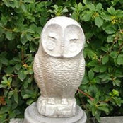 Hsiang-hui Wangs foto