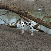 Kim Laitila's photo