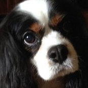 Diane McCoy's photo