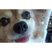 Michelle Killian's photo