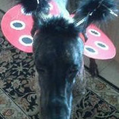 Denise Keyser's photo