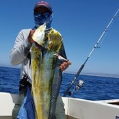 Andre Grecia's photo