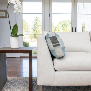 Clean,  modern living room