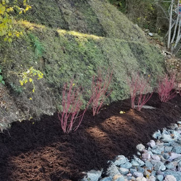 Shoreline Buffer & Slope Stabilization