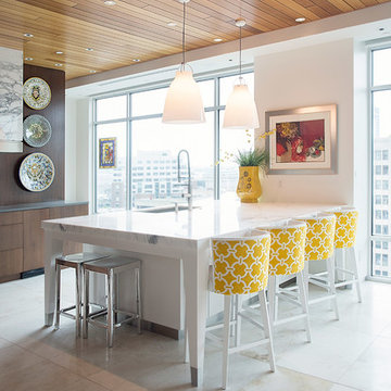 Downtown Indianapolis Condominium 2