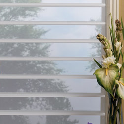 Hunter Douglas Silhouette&reg; - Window Blinds