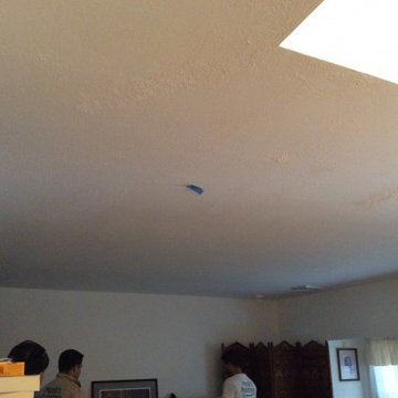 Textured Ceiling Removal
