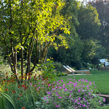 Stylish planting in Hampstead Garden Suburb