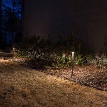 BRIGHTON FOREST Project