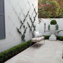 Landscape Ideas