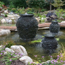 Pond