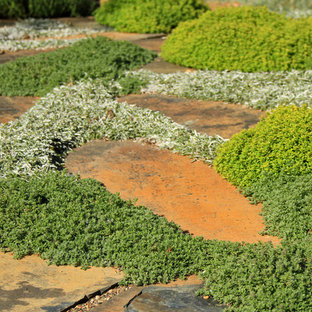 Design ideas for a mid-sized mediterranean backyard full sun xeriscape for summer in San Francisco with natural stone pavers and a vegetable garden.